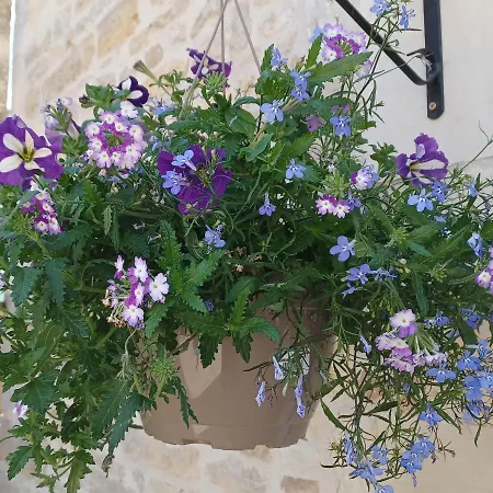 בית נופש Honeysuckle At De La Vienne Chaunay