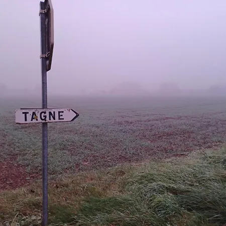 Honeysuckle At De La Vienne *