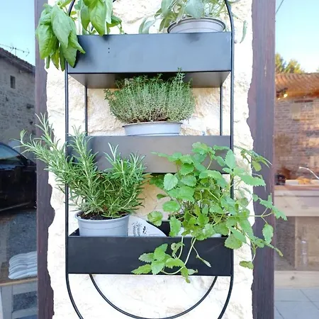 Honeysuckle At De La Vienne *