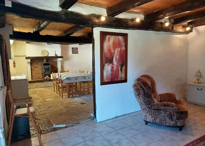 Honeysuckle At De La Vienne Chaunay