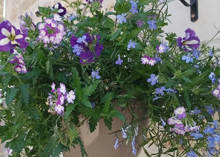 Prázdninový dům Honeysuckle At De La Vienne Chaunay