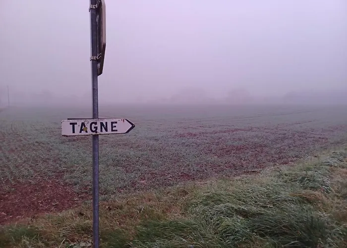 Honeysuckle At De La Vienne *