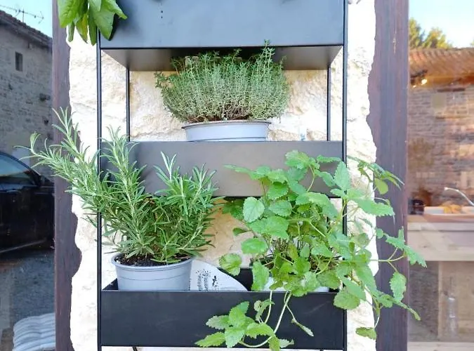 Honeysuckle At De La Vienne *